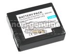 Sony DCR-IP5E batteria