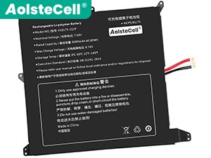 Alldocube NV-418175-2S2P batteria