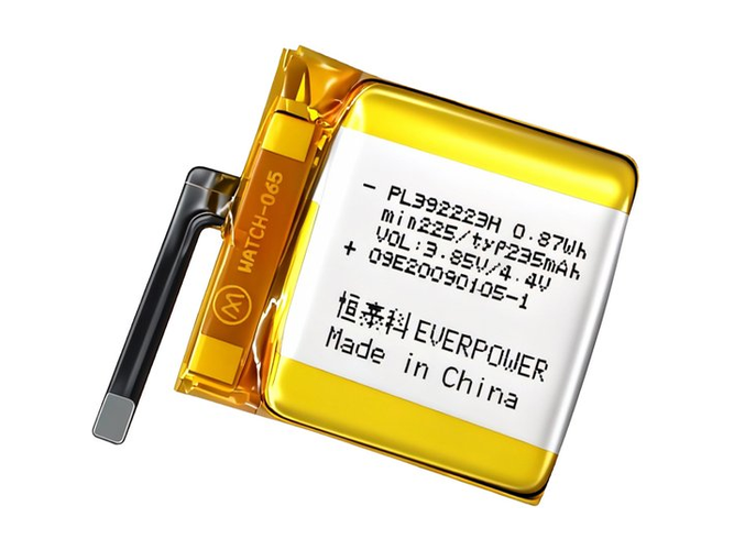 Amazfit PL392223H batteria