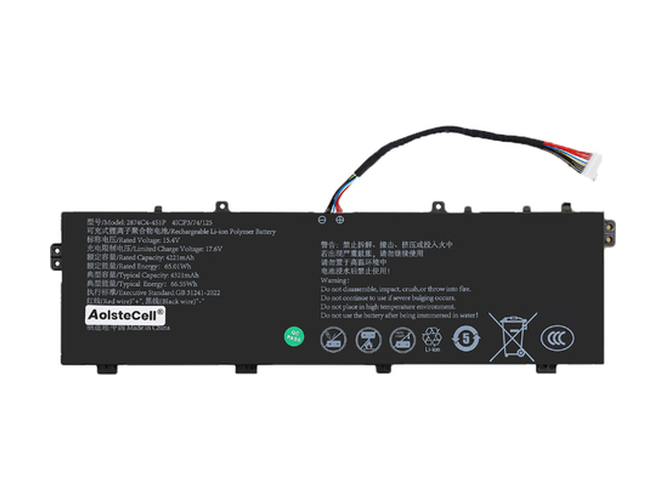 AolsteCell 2874C4-4S1P batteria