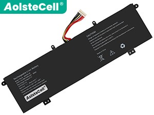 AolsteCell 4663B2-2S batteria