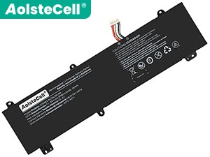 AolsteCell 575983 batteria