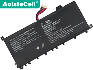AolsteCell 607986-2S batteria