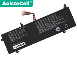 AolsteCell 6661A4-2S batteria