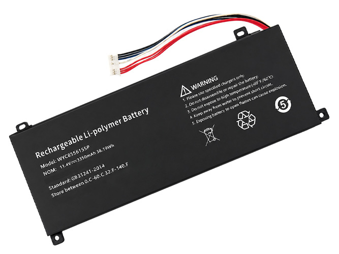 AolsteCell WYC8556155P batteria