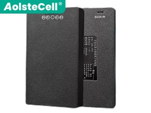 AolsteCell ZNS-09D batteria