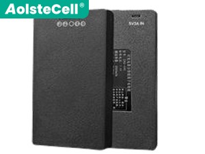 AolsteCell ZNS-09E batteria