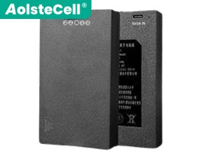AolsteCell ZNS-09E1 batteria