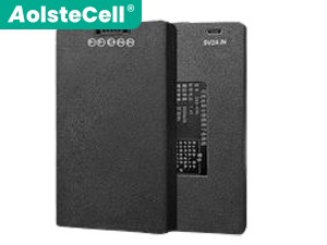 AolsteCell ZNS-09H1 batteria