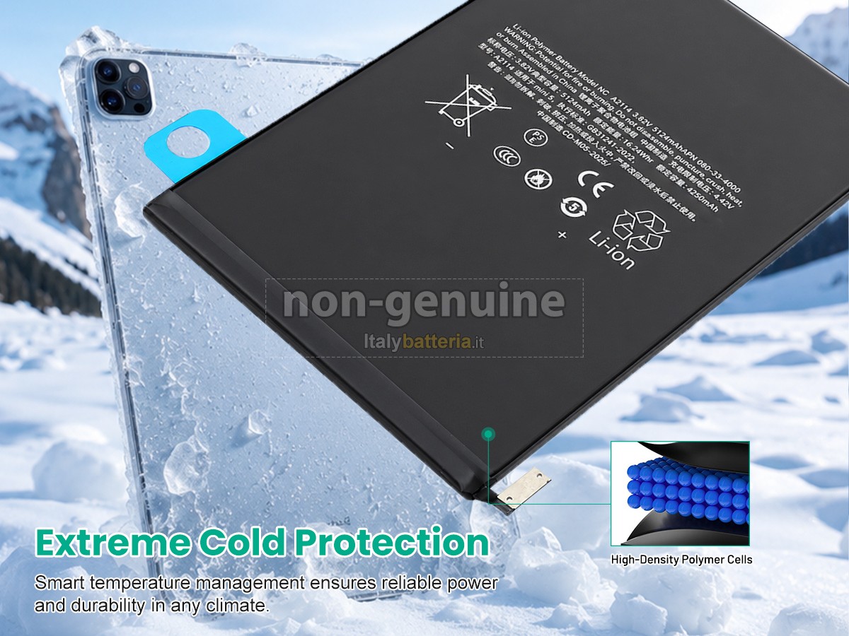 Batteria Apple A2125