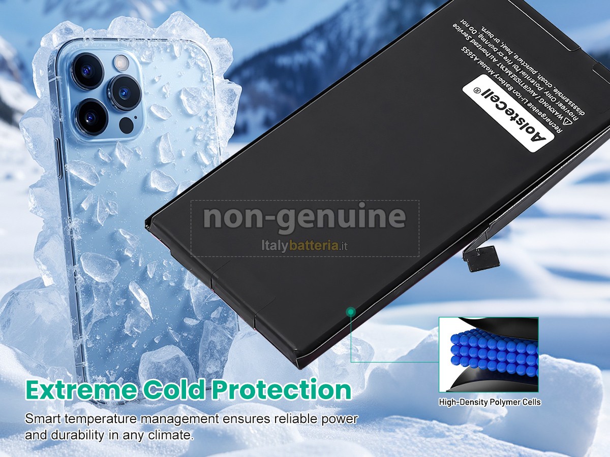 Batteria Apple IPHONE 13
