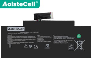 Asus TF300T batteria