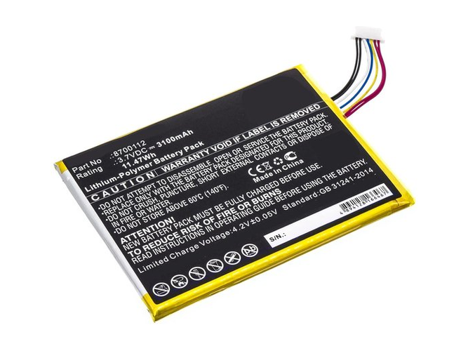 Bang Olufsen 8700112 batteria