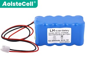 Biocare ECG-101A batteria