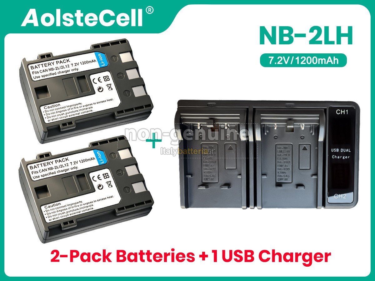 Batteria Canon MD111