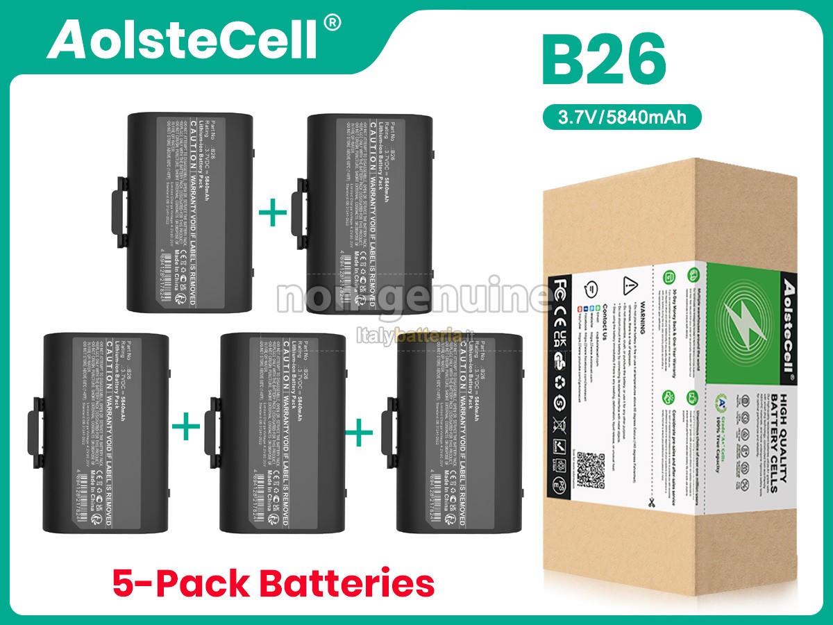 Batteria Castles Technology BATS1F2
