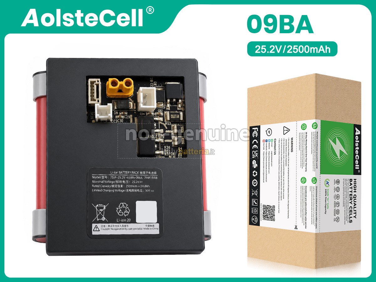 Batteria CLEA 09BA