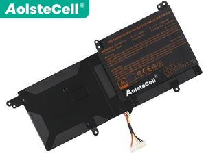 Clevo Sager NP3130 batteria