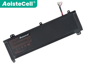 Clevo N550BAT-3 batteria