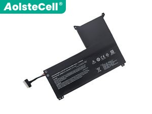 Clevo Sager Notebook NP6271C-S (NP70RNC1) batteria