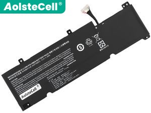 Clevo Schenker XMG Core 14-L20 (NV40MB) batteria