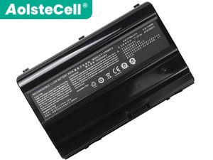 Clevo P775DM3-G batteria