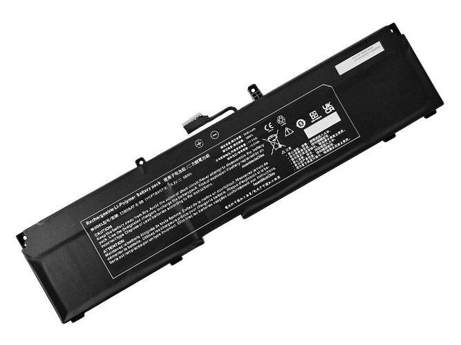 Clevo X580BAT-8-98 batteria