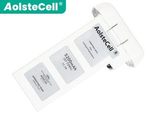 DJI 733496-5200mAh-11.1V batteria
