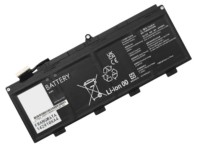 Framework FRANBBATO1 batteria