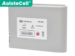GE ref 2037082-001 batteria