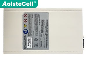 GE BP-LC2200/42-XXX batteria
