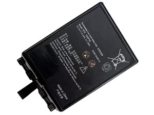 GE 2421-00004 batteria