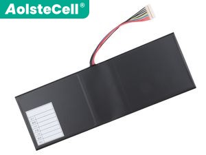 Gigabyte S11M batteria
