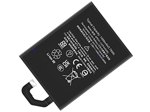 Google GPDX1 batteria