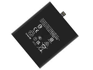 Google Pixel 9 Pro batteria