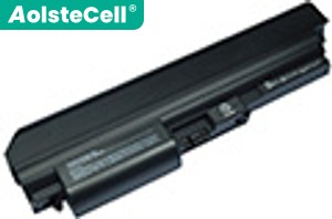 IBM 40Y6793 batteria