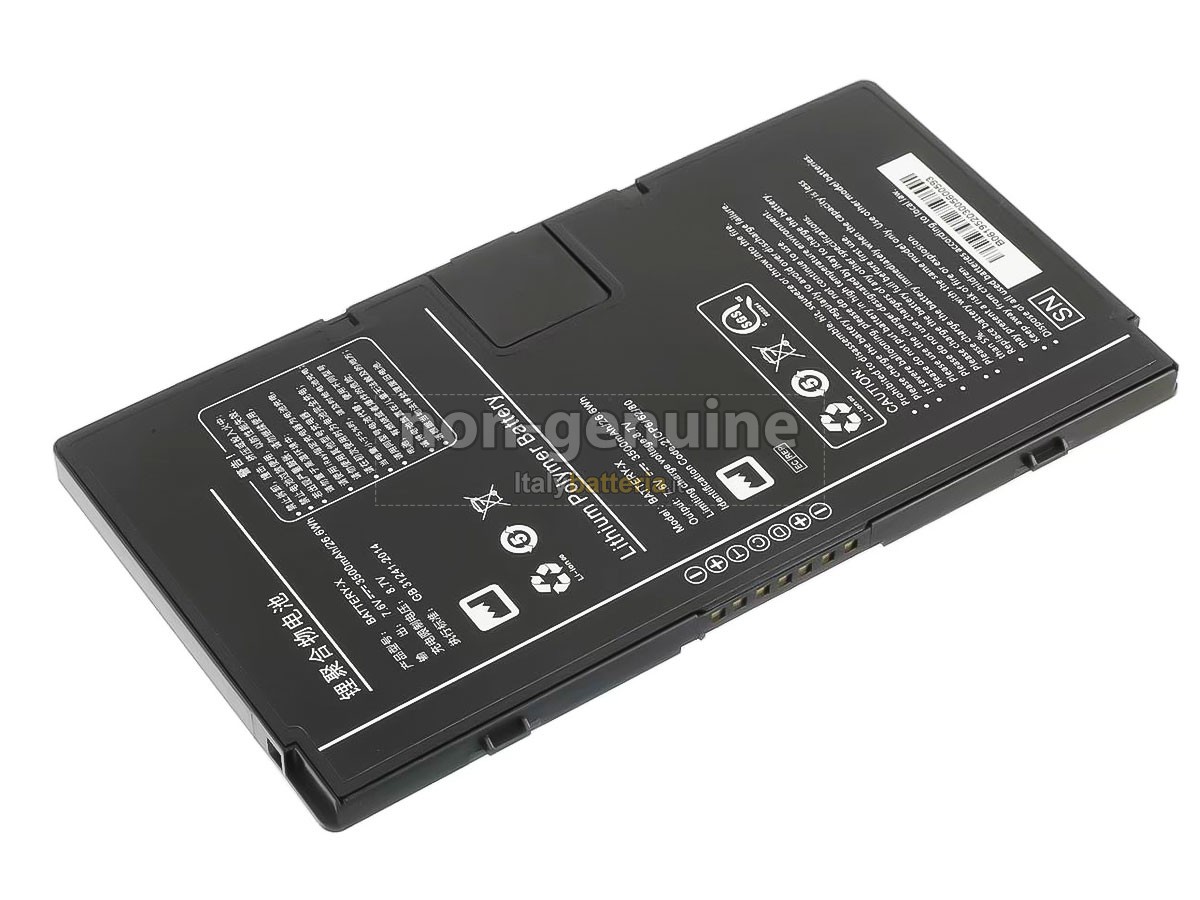 Batteria Iray BATTERY-X