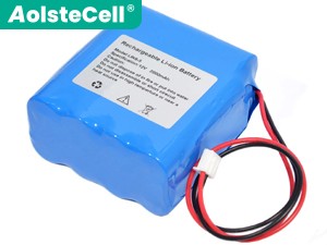 Batteria per Leienyl LINZ-8A