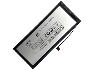 Lenovo BL207 batteria