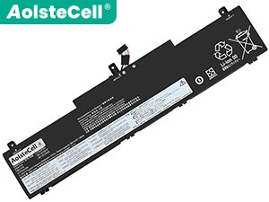 Lenovo ThinkPad Neo 14 batteria