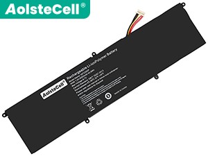 Medion 5072300P batteria