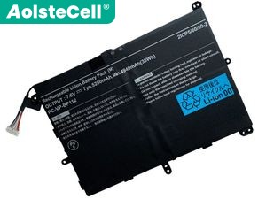 NEC PC-VP-BP111 batteria