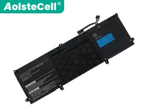 NEC PC-VP-BP148 batteria
