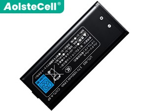 Nintendo NDSi XL batteria