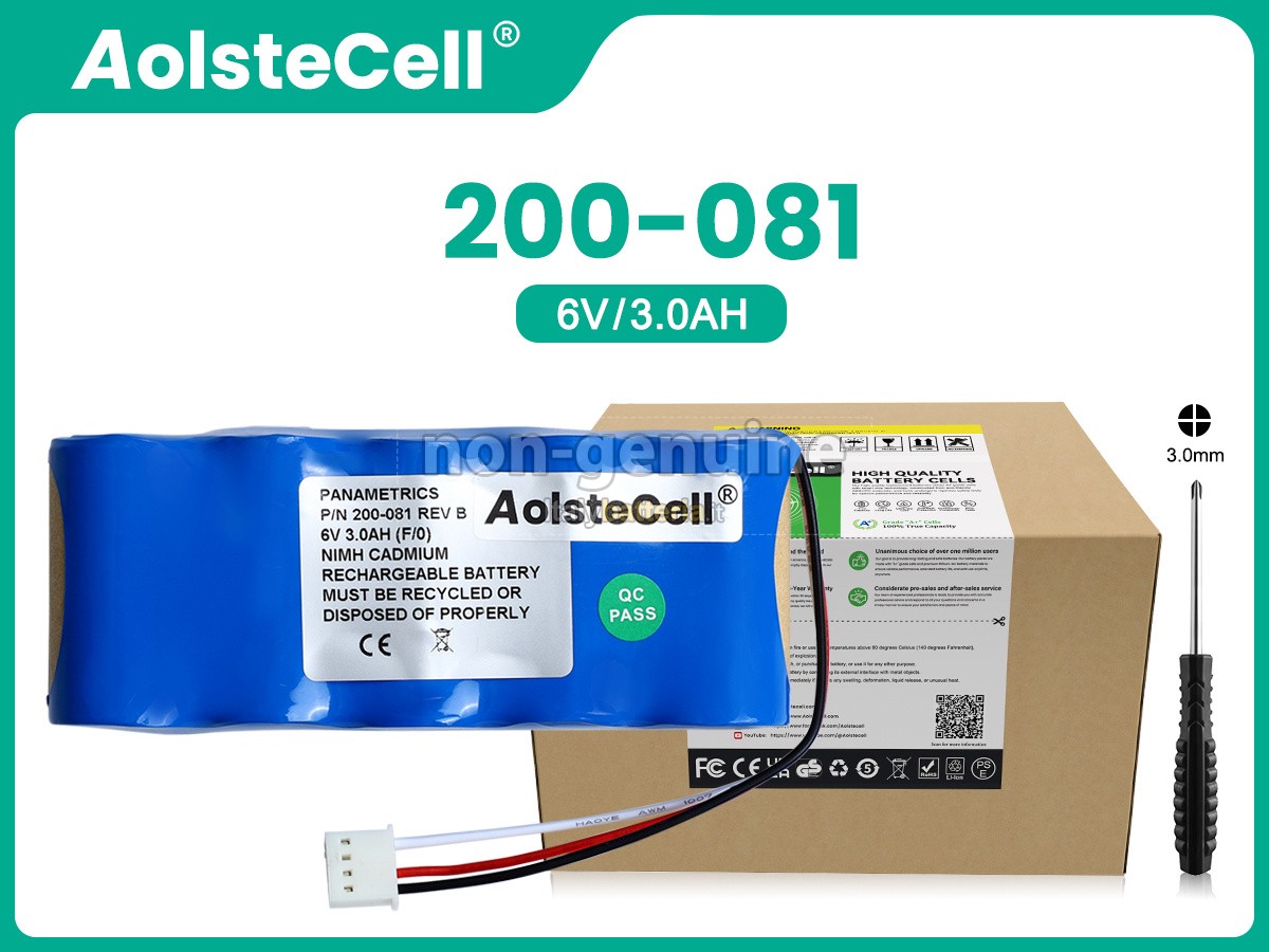 Batteria per Panametrics 200-081
