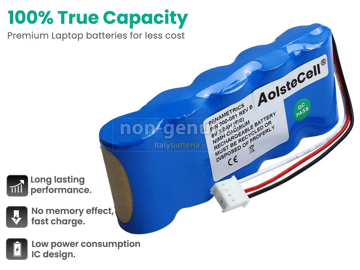 Batteria per Panametrics 200-081