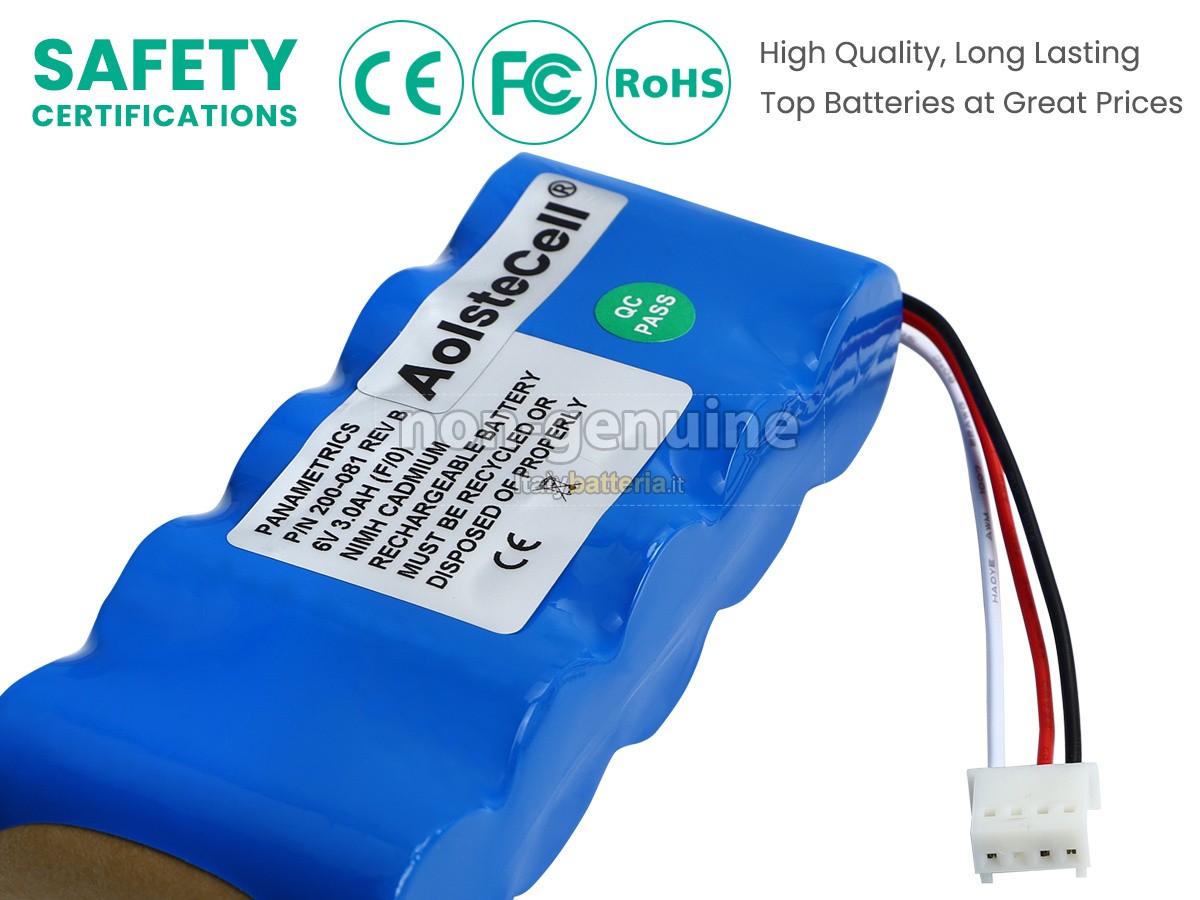 Batteria per Panametrics 200-081