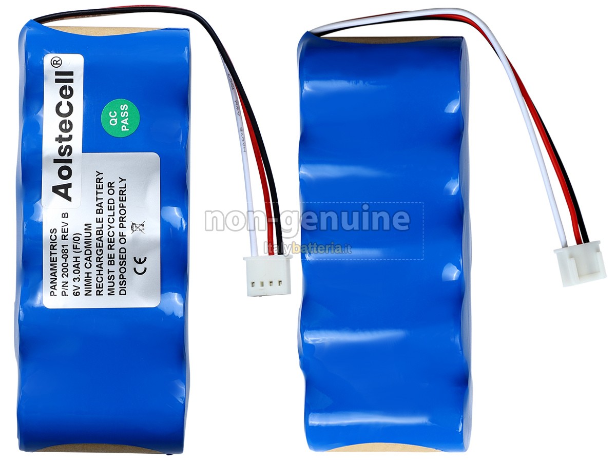Batteria per Panametrics 200-081