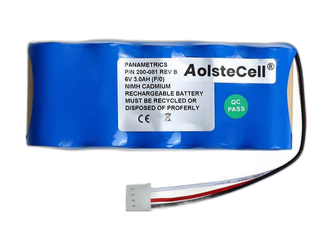 Panametrics 200-081 batteria