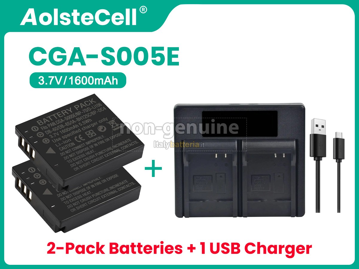 Batteria Panasonic D-LUX2